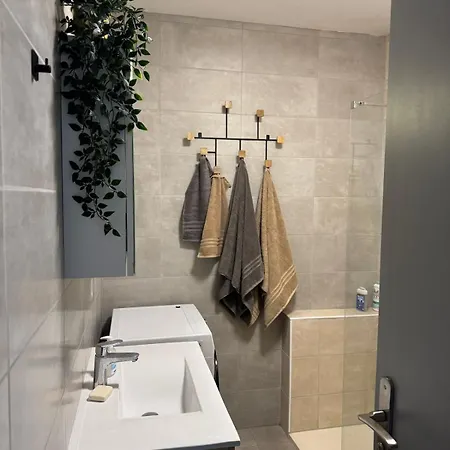 Le Colloud - T2 Moderne Proche Centre Et Balcon Garage 公寓